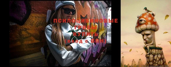 круглые Гусиноозёрск